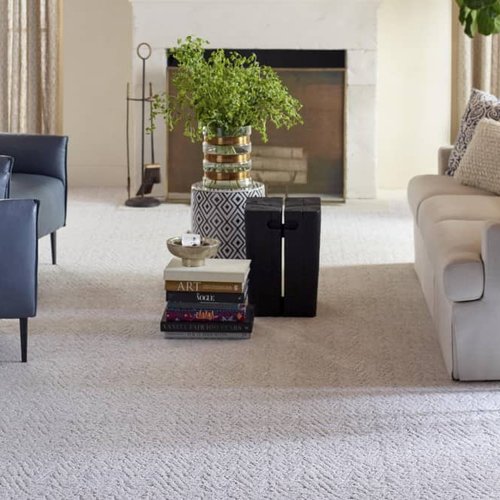 Living Room Pattern Carpet - Robert's Flooring