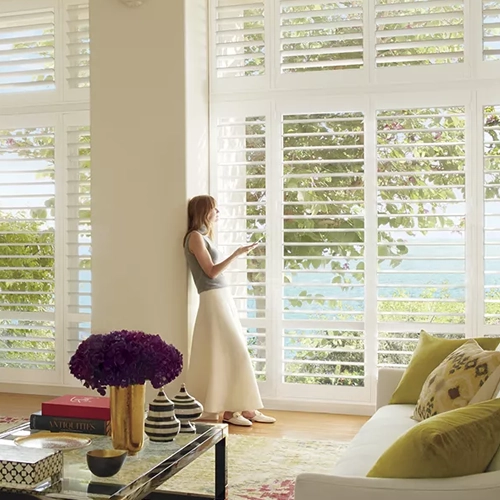 Hunter Douglas products offered by Robert's Flooring